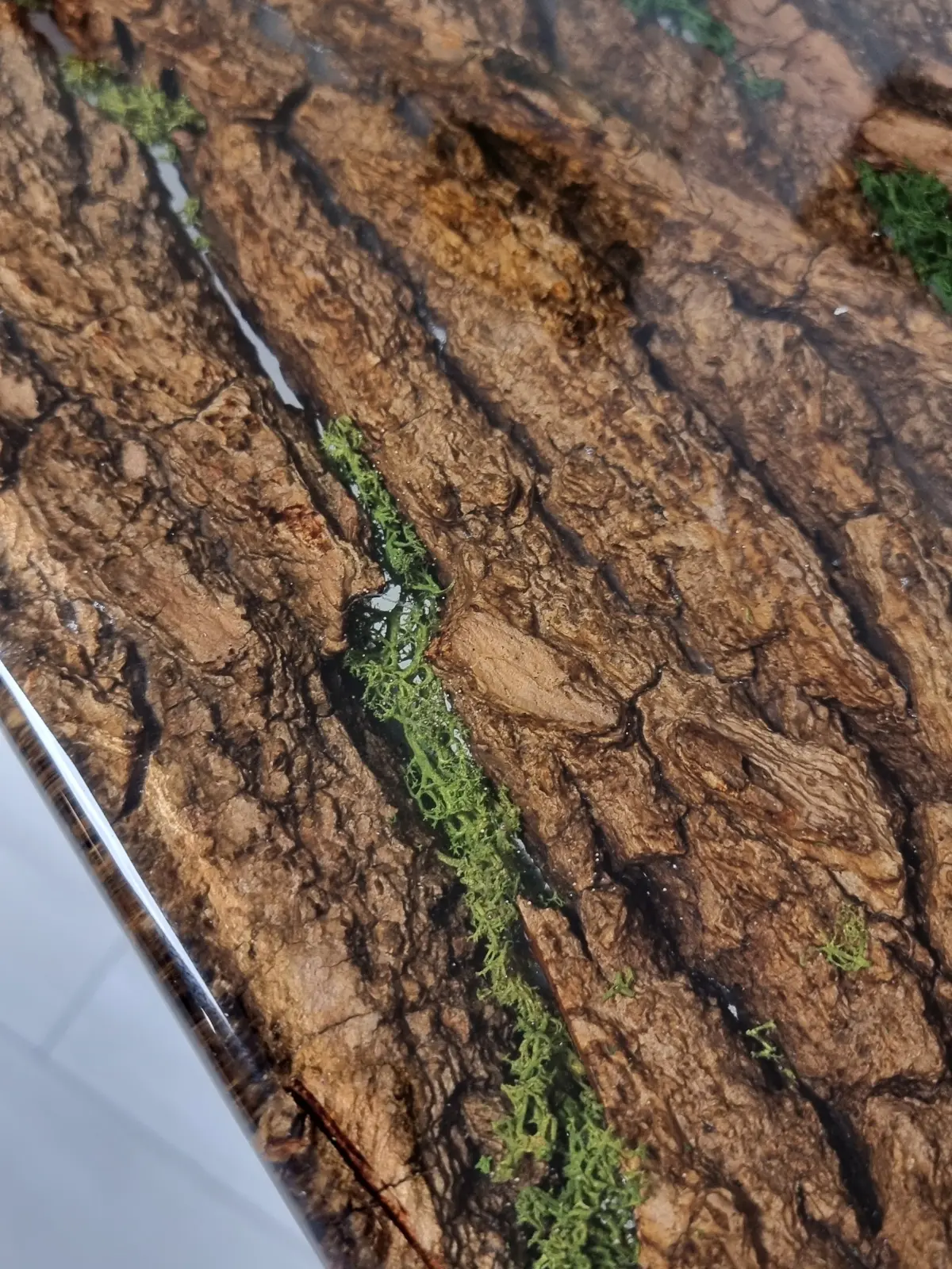 stolik z kory i mchu